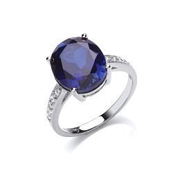 925 Sterling Silver CZ & Creative Sapphire Round Stone Fancy Ring